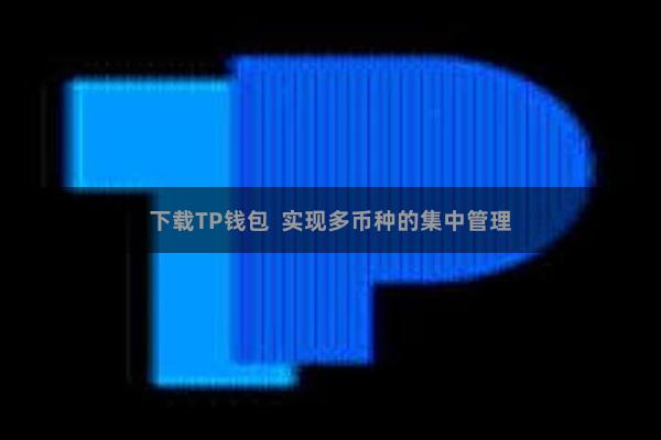 下载TP钱包  实现多币种的集中管理
